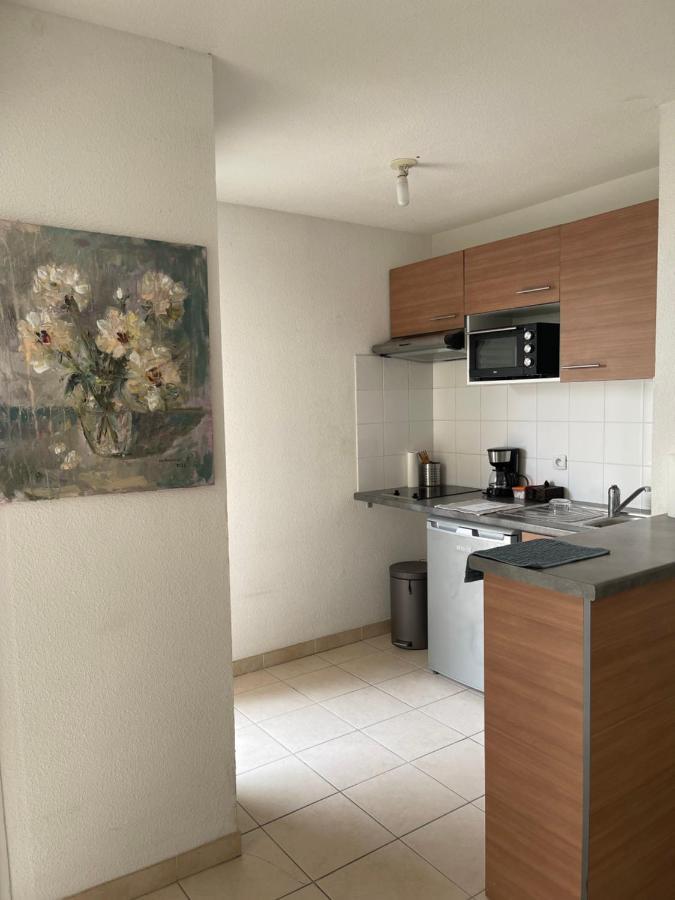 Superbe studio de 31m en rez de jardin Saint-Laurent-du-Var Exterior foto